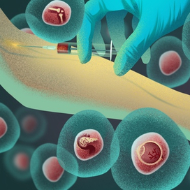 Клеточные технологии — Обложка для научно-популярной статьи