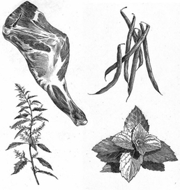 баранья лопатка, мята и фасоль