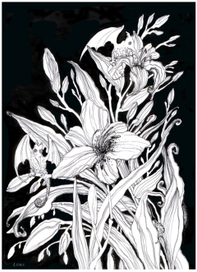 Цветочные драконы