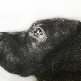 Моя прелесть