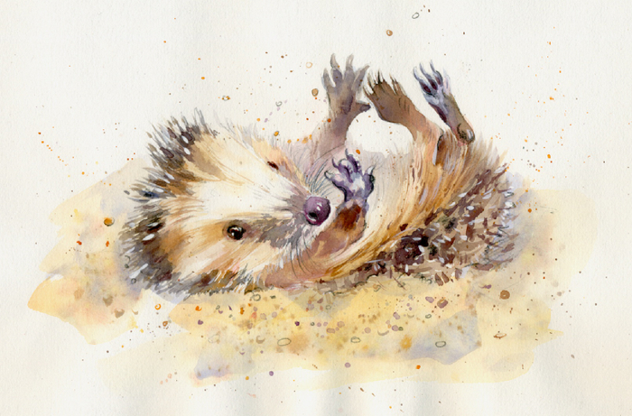 Болька принимает песчаные ванны