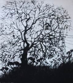 Одинокое дерево.