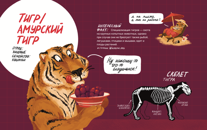 Иллюстрация для журнала о животных