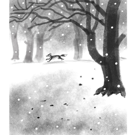 Fox in winter forest