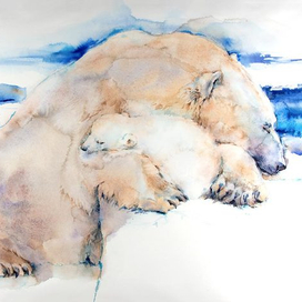 Сны Белых медведей