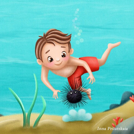 Знакомство с морским ежом