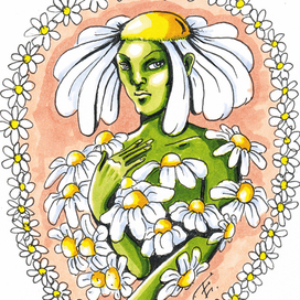 Мальчик-ромашка