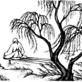 Сайге "Времена года"