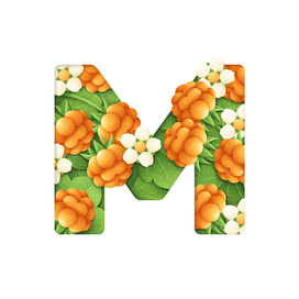 Кириллица 14/33