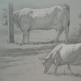 набросок коровы