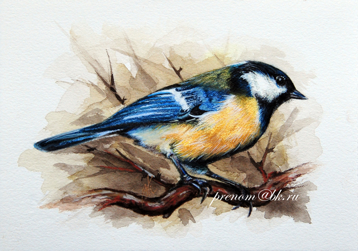 Большая синица