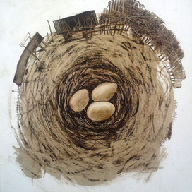 Колыбель жизни