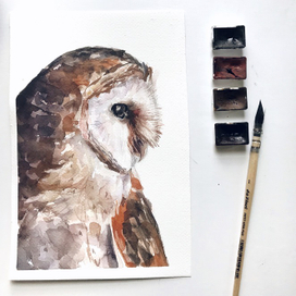 Акварельная сова