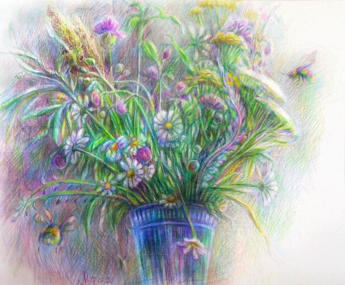 полевые цветы