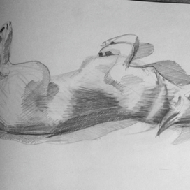 Мой пёс. вариант 2.