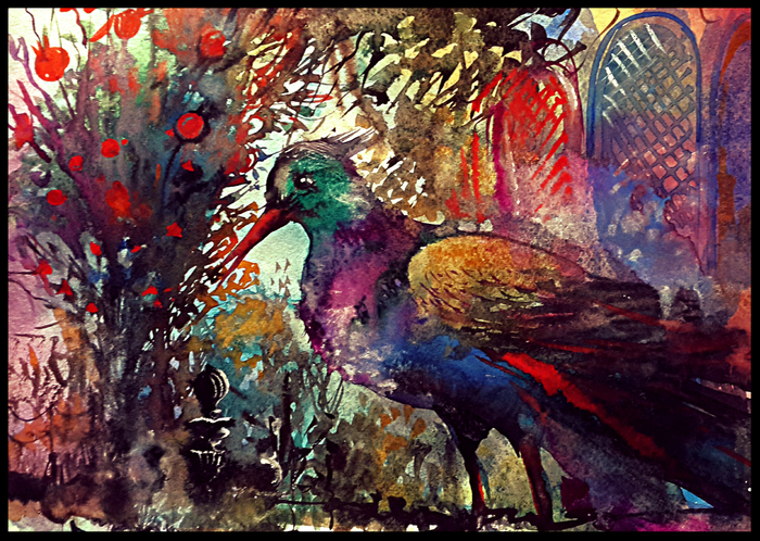 Райская птица.