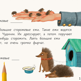 Чудесное путешествие в Чудинию