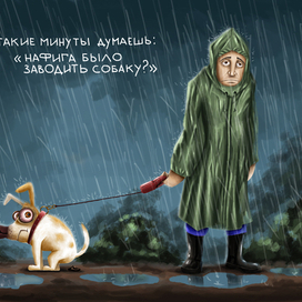 Выгул собаки