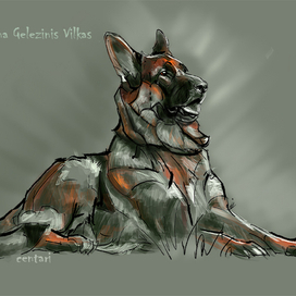 Zigruna Gelezinis Vilkas