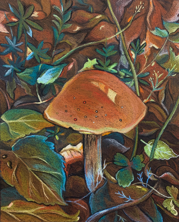 Лесные впечатления 