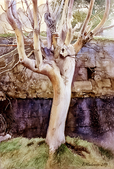 ,,Диковинное дерево.Ирландия,,