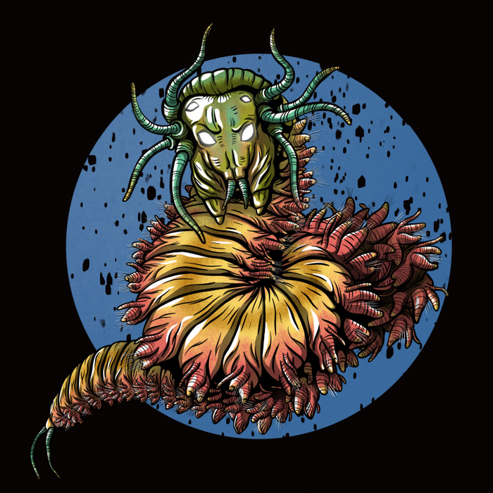 Морской червь