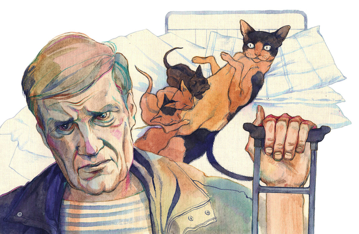 Иллюстрация 