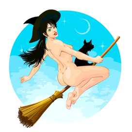 Witch flying on s broomstick with a cat
