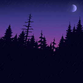Ночной лес