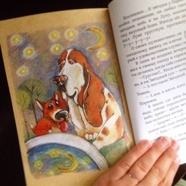 звездный суп