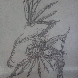 Наблюдатель