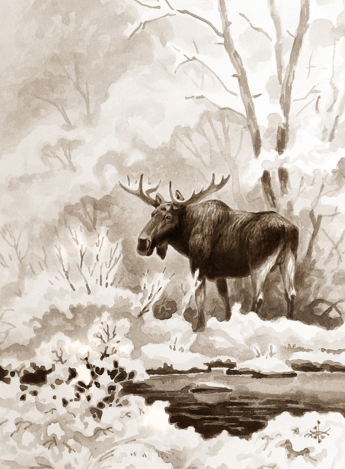 Первый снег...