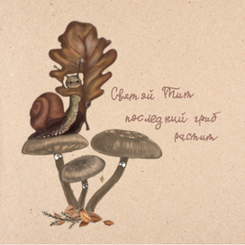 Святой Тит последний гриб растит 