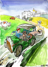 Антилопа Гну