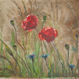 Two poppies