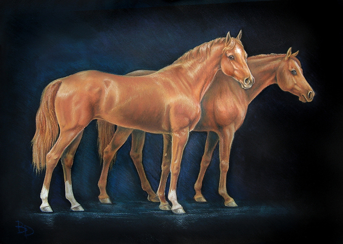 Пара дончаков