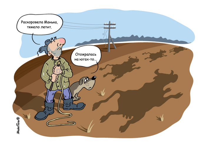 Грачи прилетели