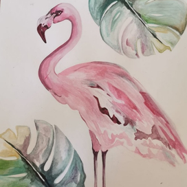 Фламинго 