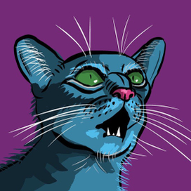 Удивлённый кот