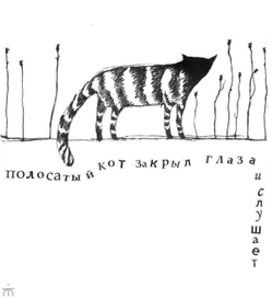 полосатый кот