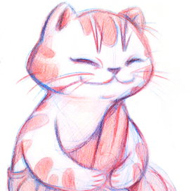 мидитирующий котик