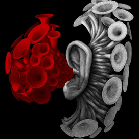 обложка первый вариант 