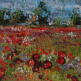 цветки мака