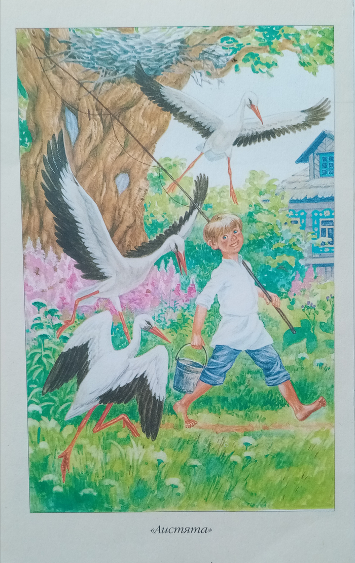 К Скребицкому Г. А. 