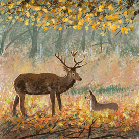 Олени осенью