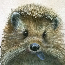 " Я-ёжик " для обложки.