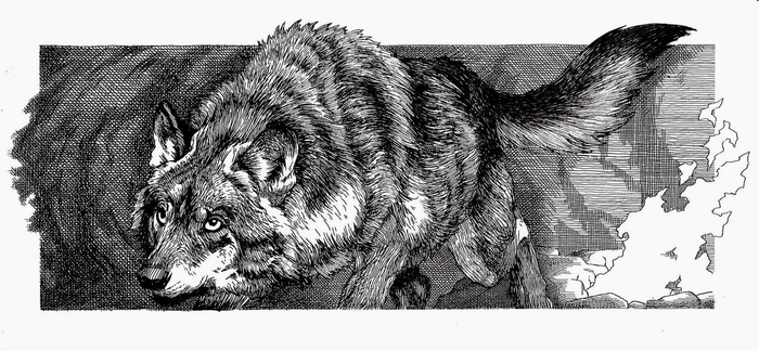 Шмуцтитул к 9-й главе