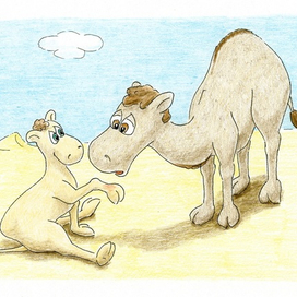 Невнимательный верблюжонок