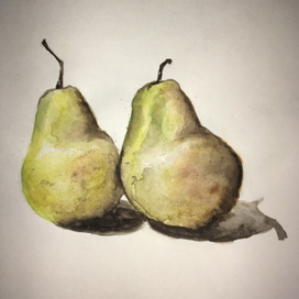 Груши