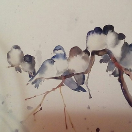 Снегири на ветке ютятся